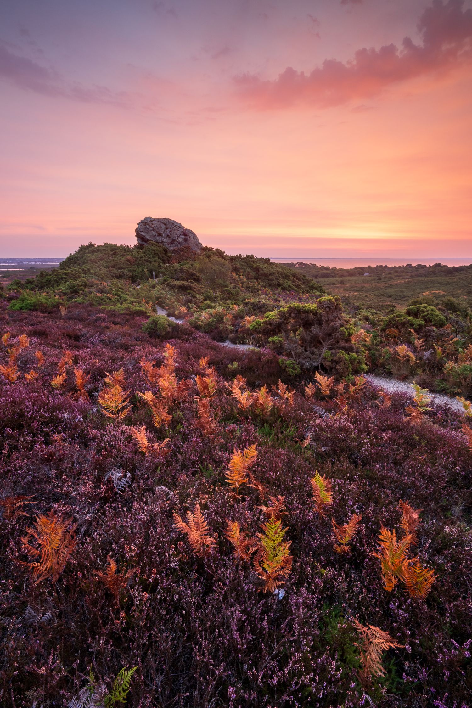 Sunrise, Agglestone, Studland Heath